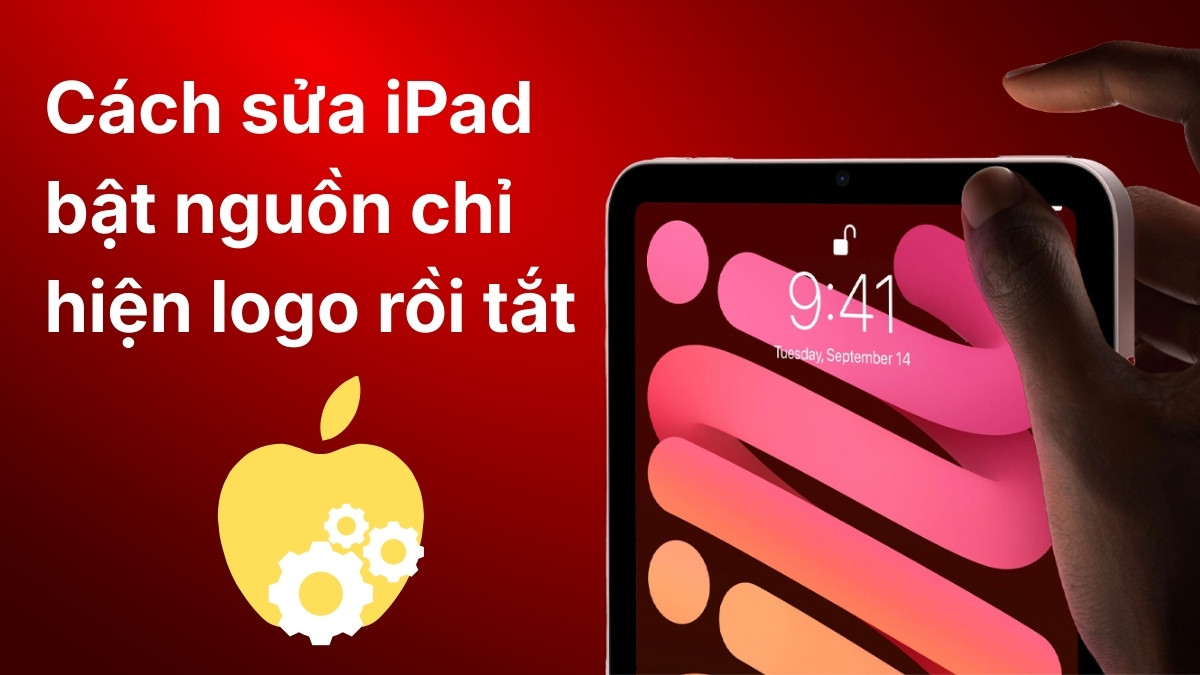 Nguyên nhân và cách sửa iPad bật nguồn chỉ hiện logo rồi tắt